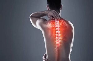 Musculoskeletal